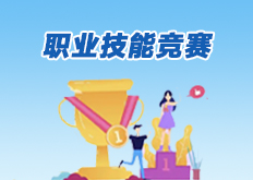 职业技能竞赛